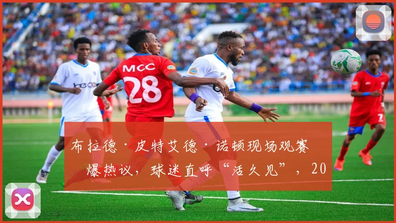 布拉德·皮特艾德·诺顿现场观赛引爆热议，球迷直呼“活久见”，2026年焦点赛况回顾