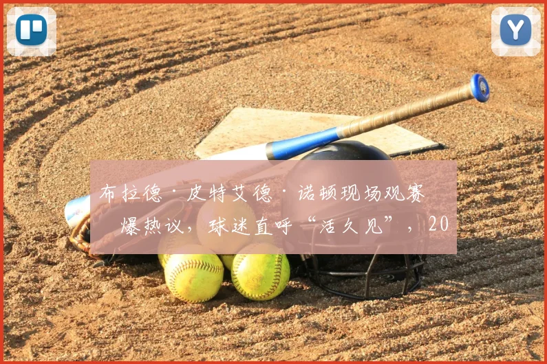 布拉德·皮特艾德·诺顿现场观赛引爆热议，球迷直呼“活久见”，2026年焦点赛况回顾