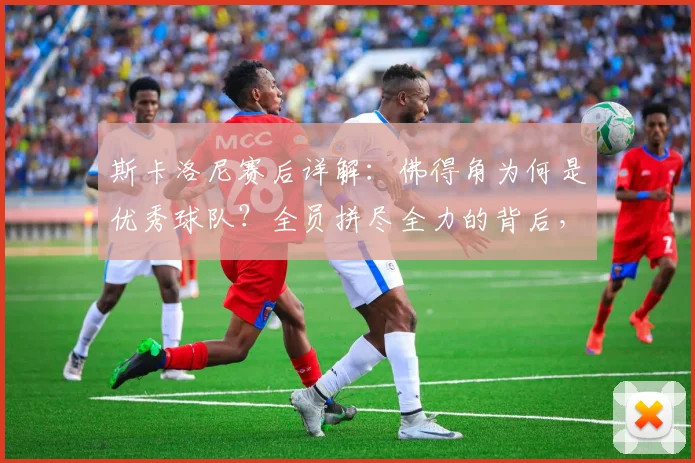 斯卡洛尼赛后详解:佛得角为何是优秀球队?全员拼尽全力的背后,2026年世界杯的阵容启示