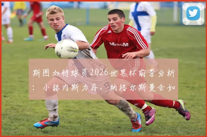 斯图加特球员2026世界杯前景分析:小赫内斯力荐,纳格尔斯曼会如何选择?